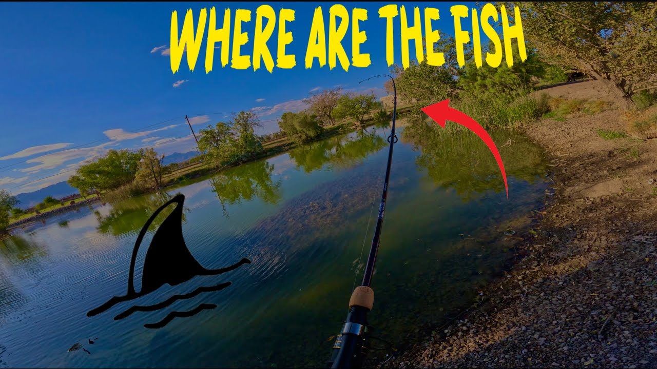 BASS FISHING AT ASCARATE!!!!!!