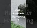 Rainwater Harvesting #shorts #rainwater #waterconservation