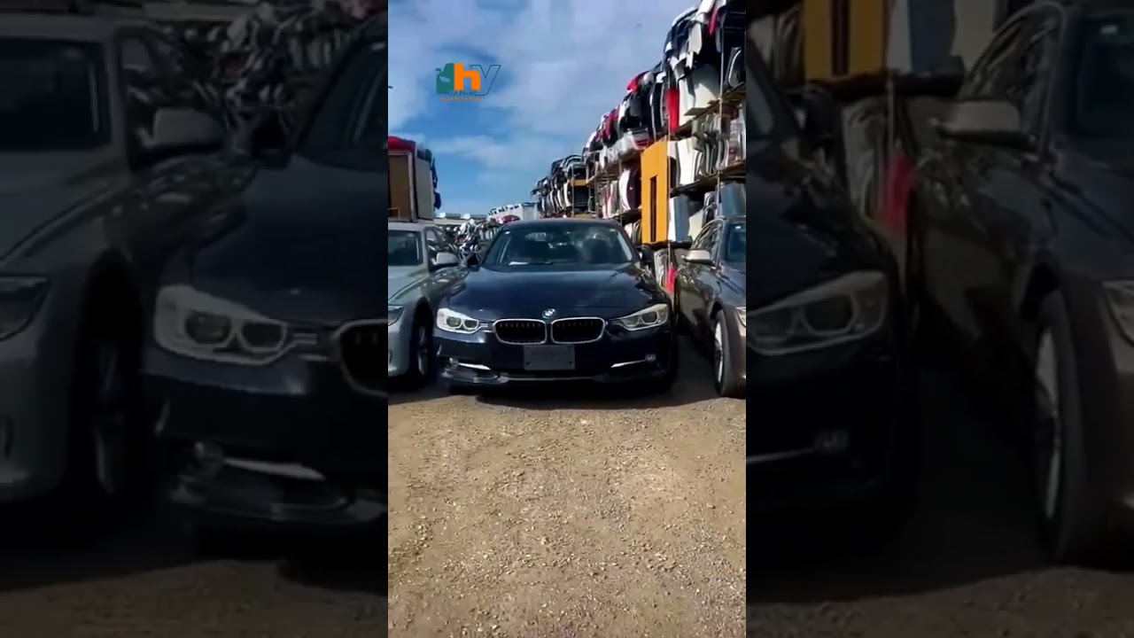 #HYJAPAN#HYJAPAN 00819040718784