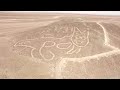 Perú | Arqueólogos hallaron un enorme geoglifo con forma de gato en la meseta de Nazca