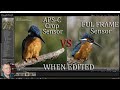 APS-C Crop Sensor vs FULL FRAME Sensor is there a difference after editing