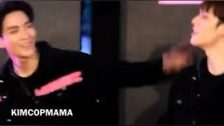 Kimcop Monter Shy Shy Shy