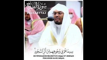 أرح مسمعك 🎧 وقلبك ❤️ بعيداً عن ضجيج العالم بلقرآن الكريم بصوت القارئ الشيخ ياسر الدوسري