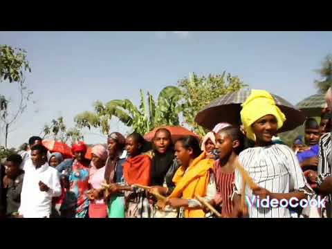 Mee Sirba Arsii Kanaa Waliin Haa Ilaaluu Meeqaa Keessantu Shubbisuu Danda A