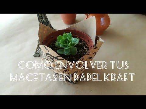 Video: Cómo Decorar Macetas Con Papel Reflectante