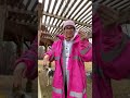 Equidry coat review bougie barn girl