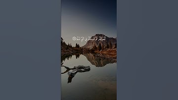 سورة طه { ٩٥ ــ ٩٨ } #ياسر_الدوسري انشر تؤجر #القران