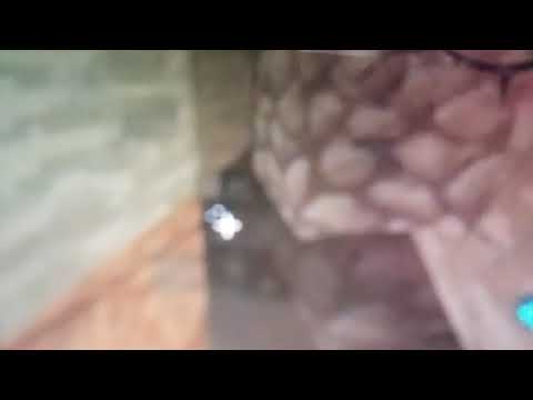 ზონების უდიდესი მაღარო ლამაზები , /  მაინქრაფთი 100გამომწერი ბებია იშლიდა ხელს 300like