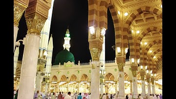 مقطع من سورة الشعراء القارئ هشام فدوي