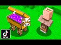 NEW TIKTOK MINECRAFT HACKS THAT ACTUALLY WORK!