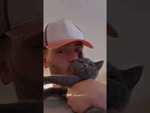 بموت الشامي اكسبلور ميمز ترند ضحكة الشامي ليلى العراق