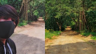 Mini Forest sa San Rafael  Rodriguez Montalban Rizal  Rolling Hills Gloria Vista Mahiwagang Gubat