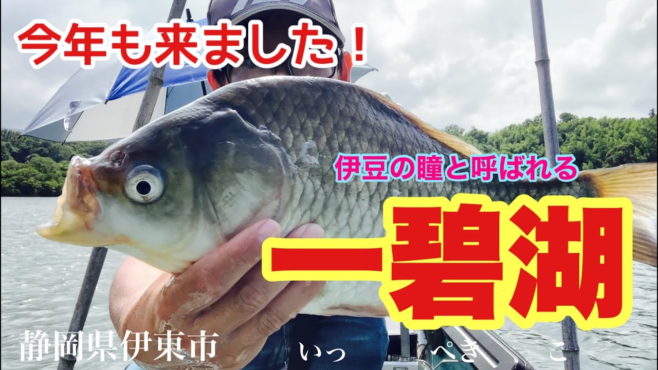 静岡県伊東市にある湖 一碧湖でボート釣り へらぶな釣り 