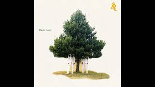 Famous Dehli 9 (Remastered) by Tosca Wealth