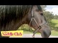 The saddle club  horse of a different color part i and part 2  saddle club season 2  full episode