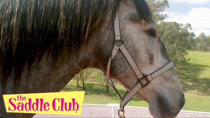 The Saddle Club - Running Free Part I | Season 02 Episode 10 | HD | Full  Episode - YouTube