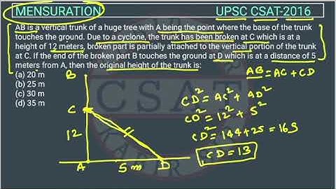 2016 CSAT Mensuration, PYQ Topic wise,  AB is a vertical trunk of a huge tree with A being the point
