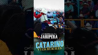 Banda La Jaripera - Catarino y Los Rurales [ Morena Music ] #shorts