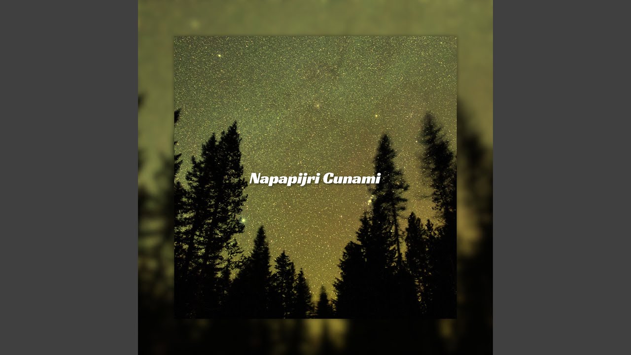 Napapijri Cunami