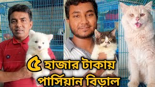 Katabon animal market in bangladesh|German Spitz| Lhasa Apso| Persian Cat| Dog and cat price 2024