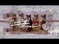 Classical museumclassical musicinspiration music