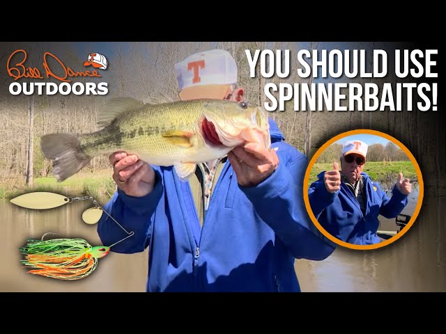 One of Everybody's Favorites: Spinnerbaits