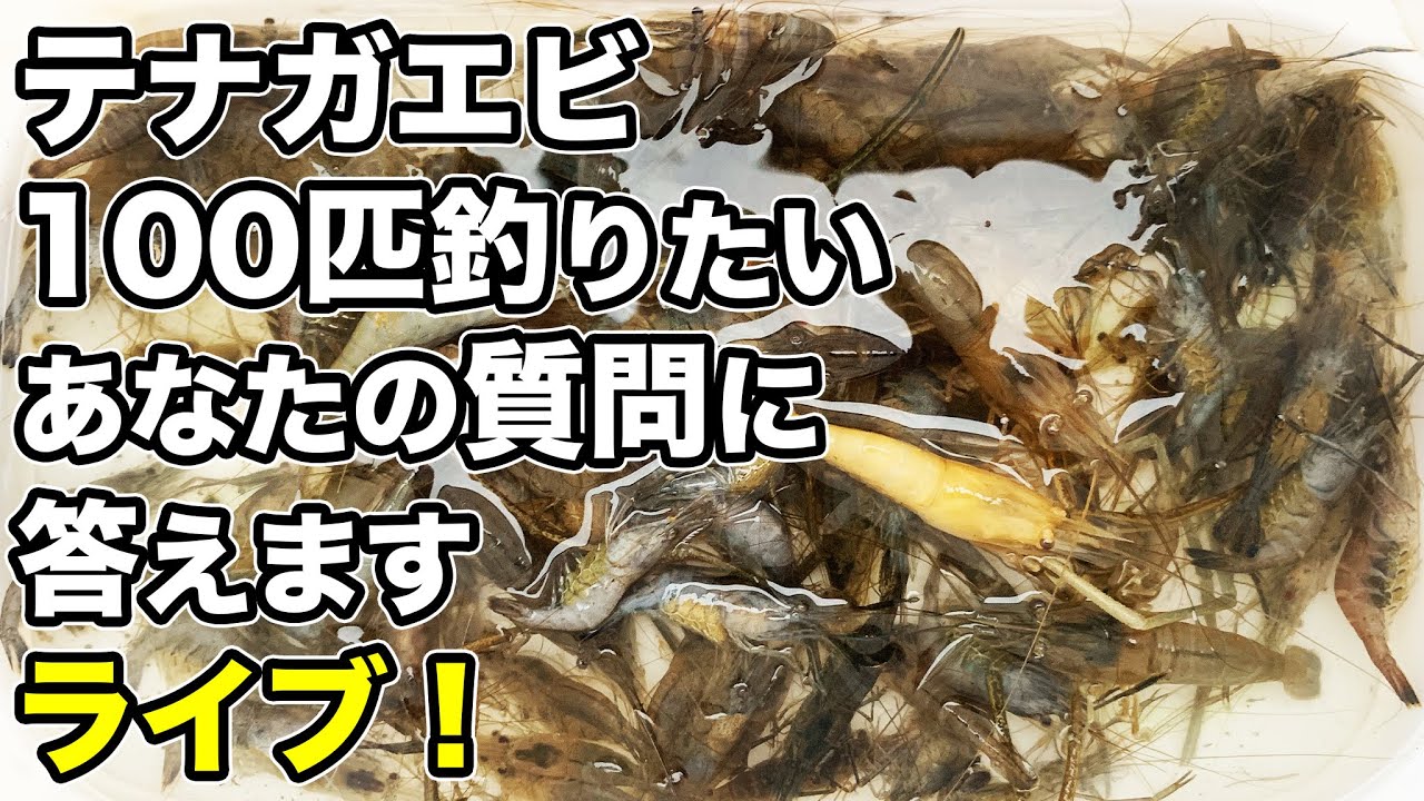 テナガエビ 100匹釣るための Q A集 ハリ外しのコツ 並べ釣り 手長エビ釣り 小物釣り Youtube