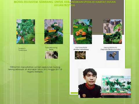 Sains Tingkatan 2: Model Ekosistem Seimbang untuk Kemandirian Spesis - Projek Problem Based Learning