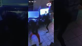 VIDEO: Smash-and-grab burglars target Chicago's Milano Café