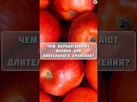 Интересные факты / чем обрабатывают яблоки #факты #интересно #фрукты #shorts