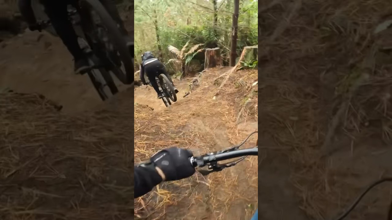 Drops Roots & Shoots 