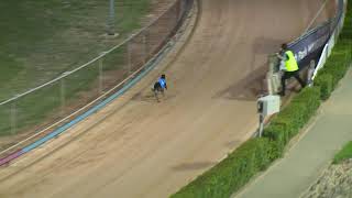 Mandurah-21032021-Race-11