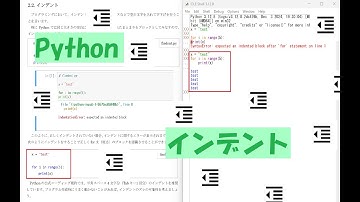 インデント【明治大学】【Python】