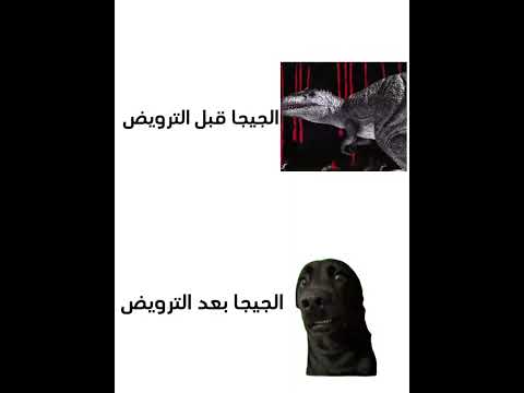 فرق جدا كبير  العاب       
