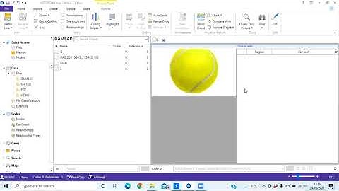 Demonstrasi Penggunaan NVivo (Input Data,Coding, dan Visualisasi Data Kualitatif)