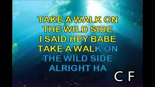 Video thumbnail of "Lou Reed   Walk On The Wild Side karaoke 62"