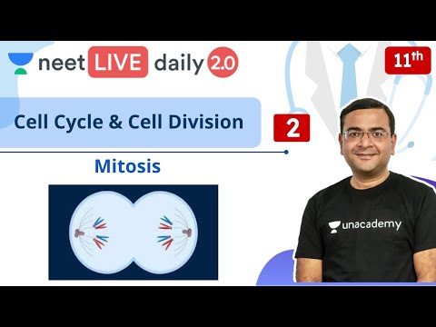 NEET: Cell Cycle & Cell Division - L2 | Class 11 | Live Daily 2.0 | Unacademy NEET | Pradeep Sir