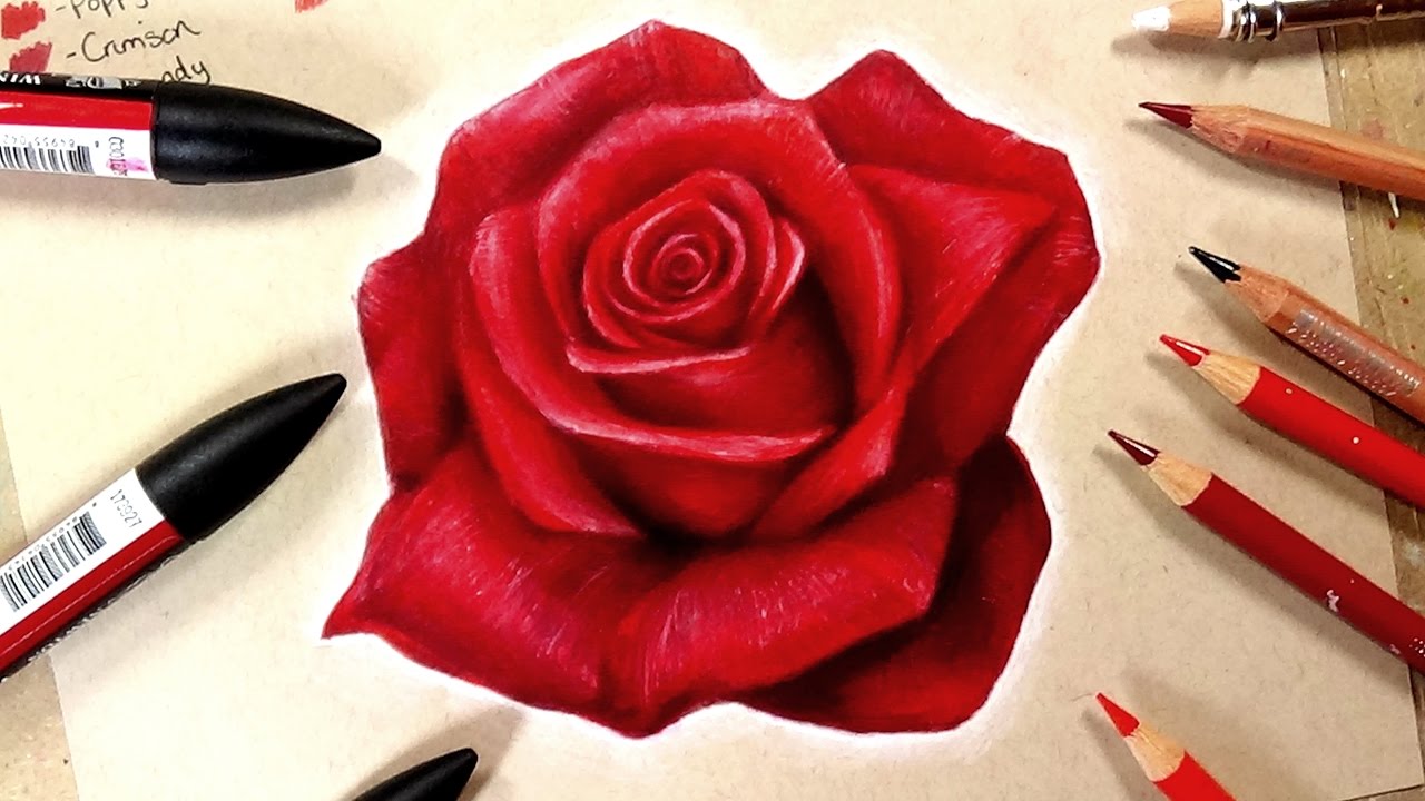 How To Draw A Realistic Rose - YouTube