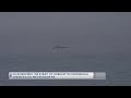 Iran Reopens The Strait Of Hormuz To Commercial Vessels 