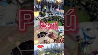 Felices fiestas patrias Perú 🇵🇪🌹 Te amo Perú ❤️ #fiestaspatriasperu #28dejulio #peruanosporelmundo