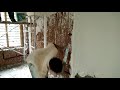 Gypsum plastering on wall (ജിപ്സം കൊണ്ട് ചുമര് തേക്കുന്നത് ) മലയാളം