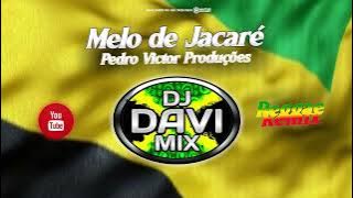 Melo de Jacare Fora D'água Reggae Funk