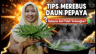 Tips Merebus Daun Pepaya Agar Tidak Pahit Dan Enak Rasanya