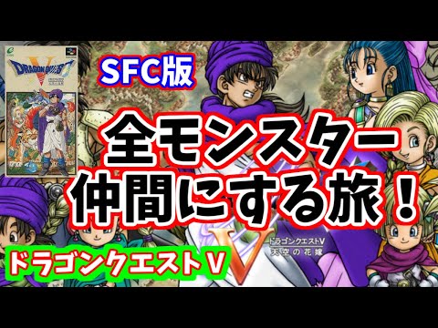 【第6回】~ドラゴンクエストⅤ~天空の花嫁~SFC版〜全モンスターを仲間にする旅~