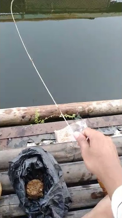 snap wa ig mancing di waduk jangari