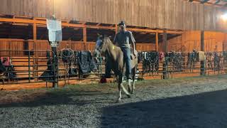 Sold 7567- roan QH mare 20 yr old 14.3h $900 40 coggins Deadline 8/24/26