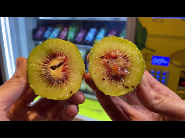 Fruit Vending Machine