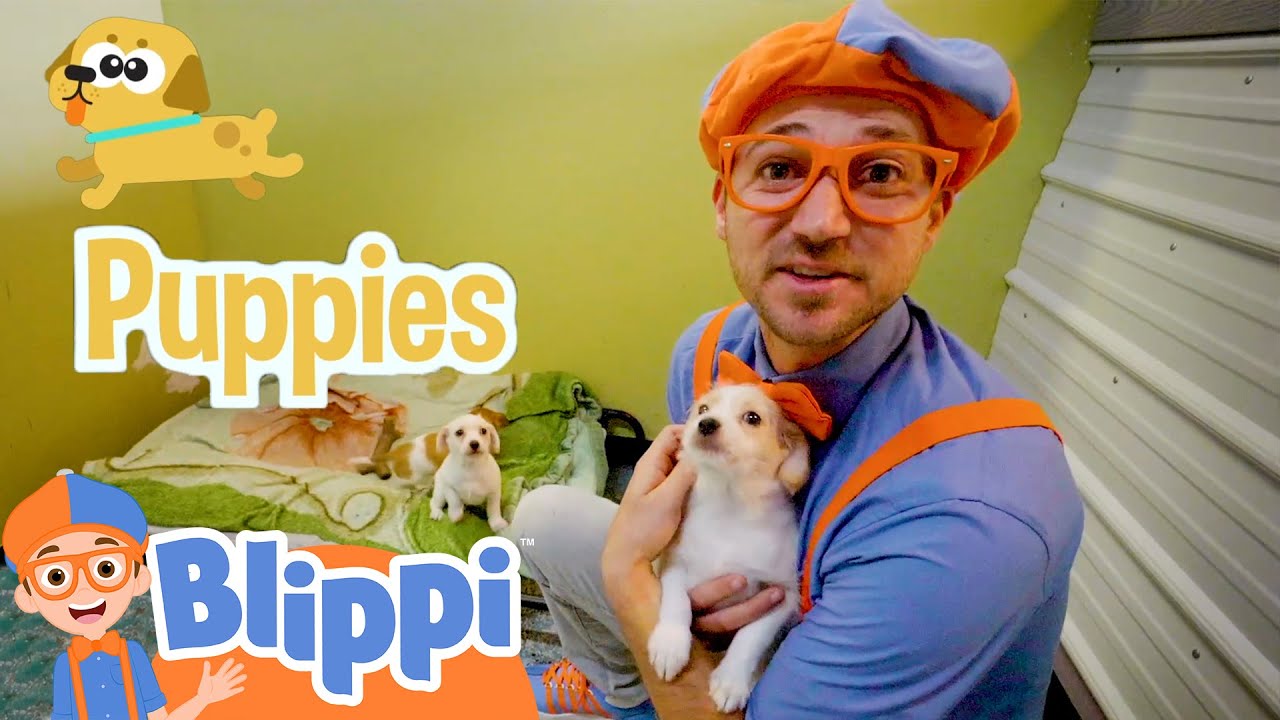 Caring After Pets With Blippi At The Animal Shelter | Fun and Educational Videos for Kids