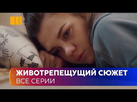 Видео: Гангстерская собака выходит из тюрьмы и берет себя с полицейским