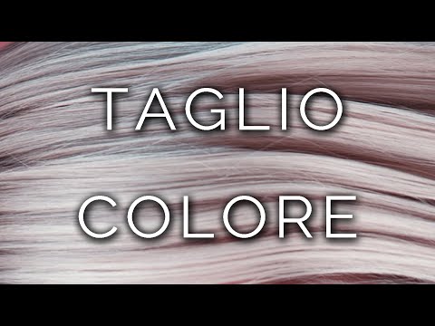 Video: Armatura e Pallatit Doge të Venedikut